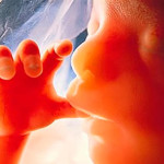 Какие последствия таит аборт для женского организма